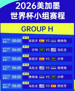 开云回放界面示例
